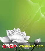 大咪