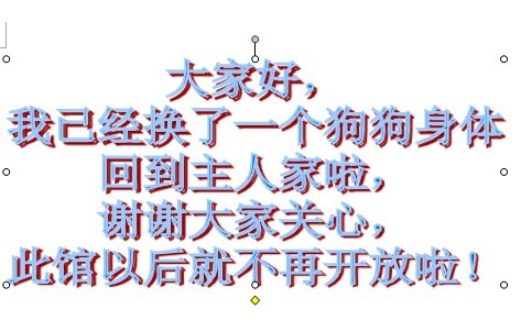 王点点