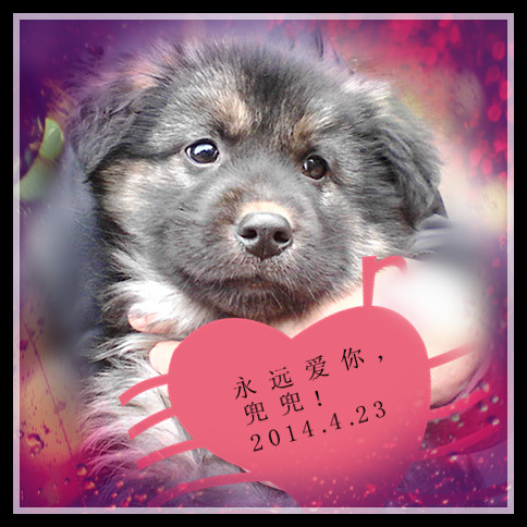 兜兜