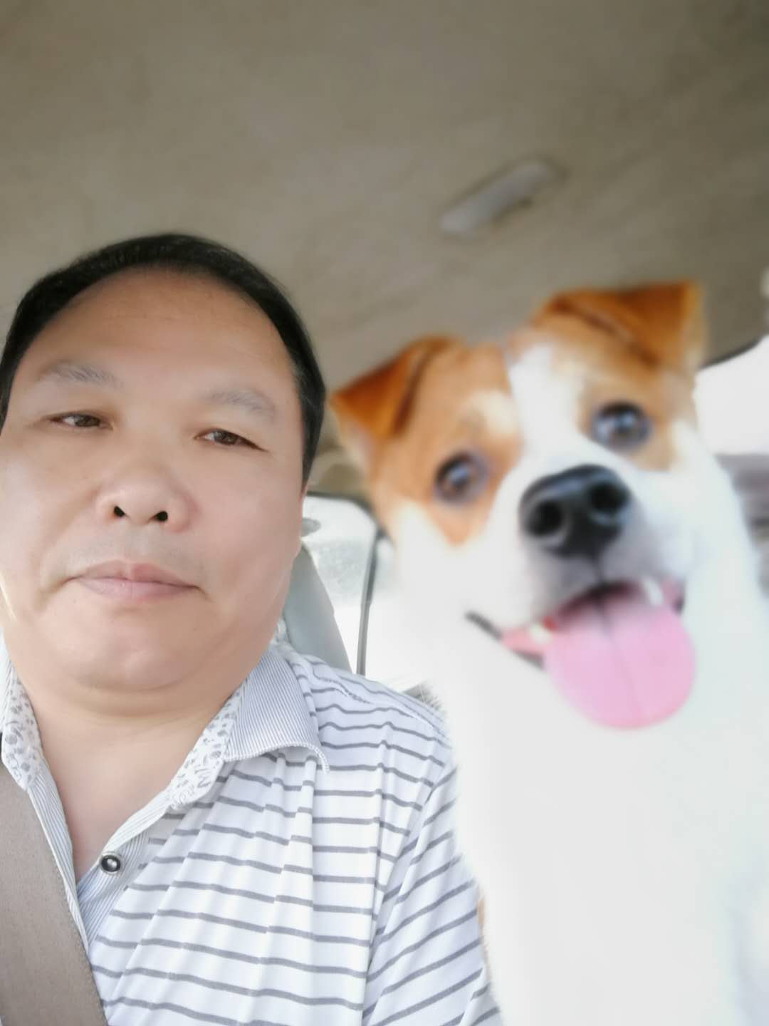 天堂公墓纪念网