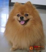 我疼爱的乖乖