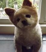 章狗狗