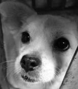 孤独