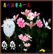 兔兔