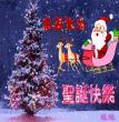 兔兔的墓地