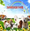 想你