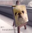 天天