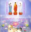 咪咪、蝴蝶宝贝
