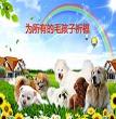 想你