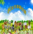 宝贝们