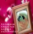 祈福