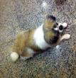‎摄于2015‎年‎1‎月‎9‎日，‏‎22:33:47