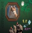 深深怀念