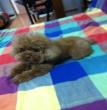 nicky