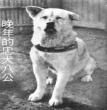 八公相册