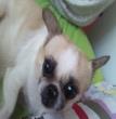 小熊