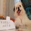 15岁生日