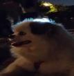 中秋夜