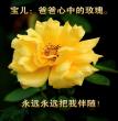 心中的玫瑰