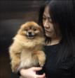阿婆抱着美美坐电梯