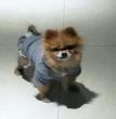 淘淘
