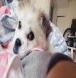 饭桶