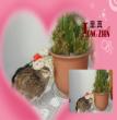 圆缘相册