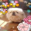 多子宝贝