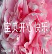 我可爱的兔兔